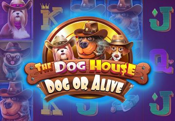 Игра The Dog House Dog Or Alive в Loft Casino